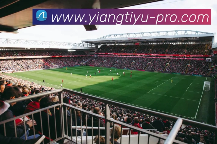 意昂体育APP 封面图